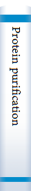 Protein purification 
