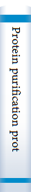 Protein purification protocols