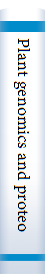 Plant genomics and proteomics