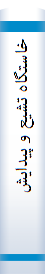 خا‌ستگا‌ه‌ تشیع‌ و پیدایش‌ فرقه‌ ها‌ی شیعی‌ در عصر اما‌ما‌ن‌
