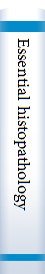 Essential histopathology