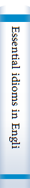Essential idioms in English