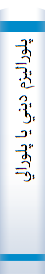 پلوراليزم ديني يا پلوراليزم در دين